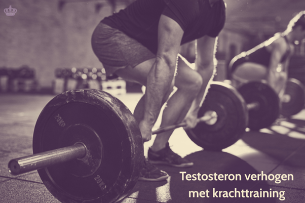 Krachttraining voor testosteronverhoging informatief artikel met oefeningen en trainingstips voor mannelijke hormonen