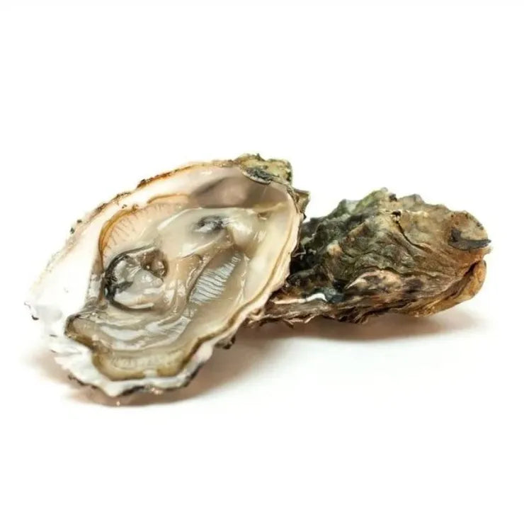 Illustratie bij artikel over oesters prikkel bij De Paarse Keizerin met tips en inspiratie
